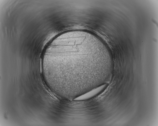 X0000096721171200803041356