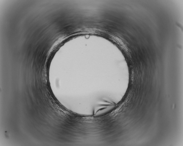 X0000096721172200803041356