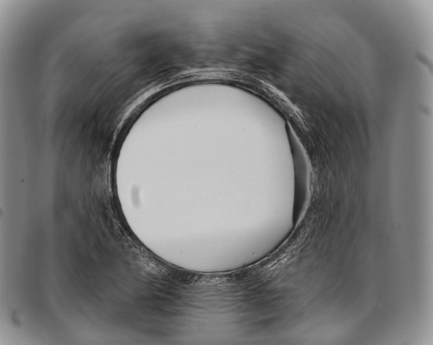 X0000096721174200803041356