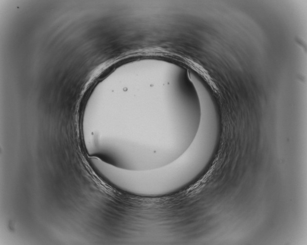 X0000096721176200803041356