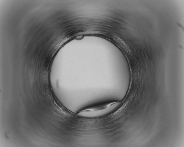 X0000096721177200803041356