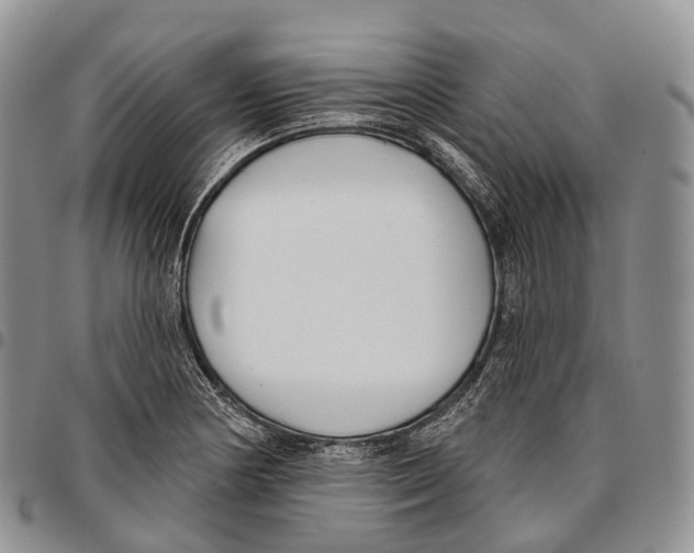 X0000096721178200803041356