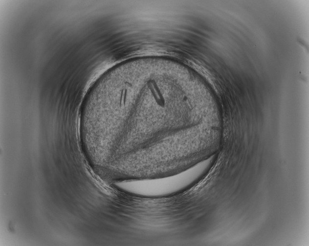 X0000096721179200803041356