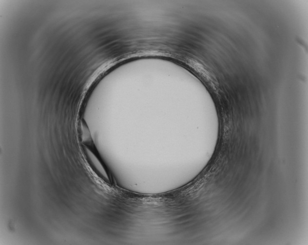 X0000096721181200803041355