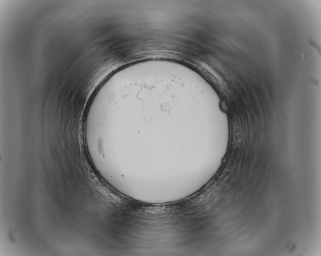 X0000096721182200803041355