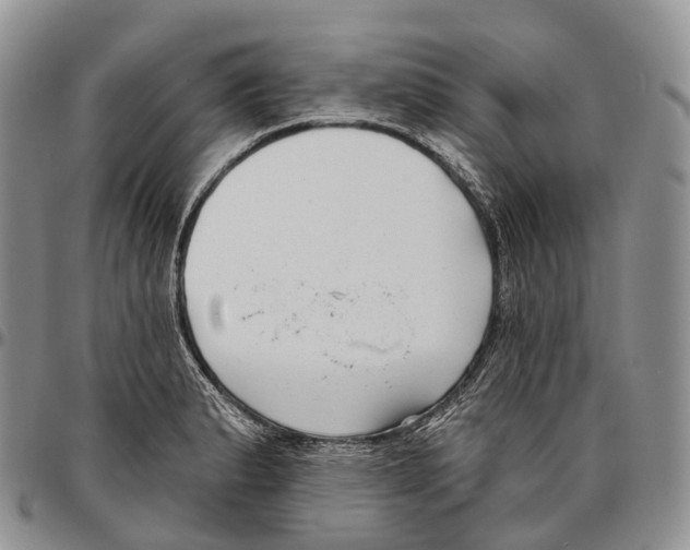 X0000096721183200803041355