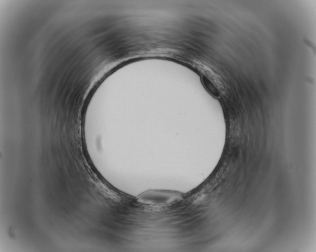 X0000096721184200803041355