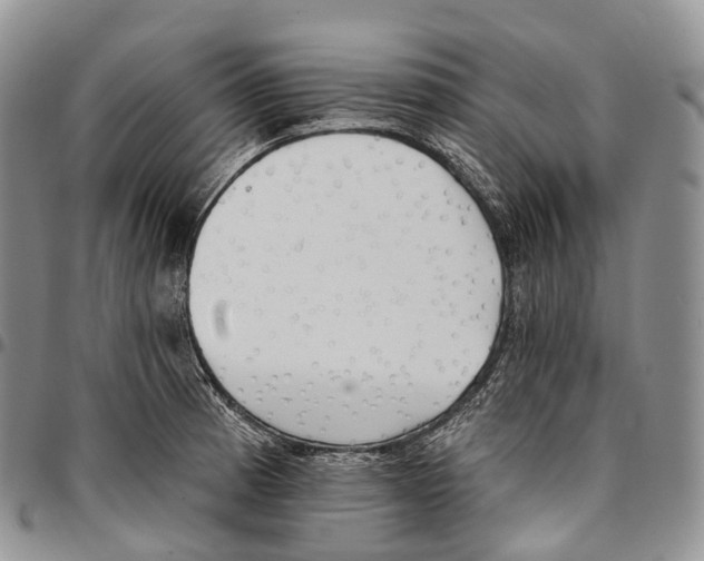 X0000096721185200803041355