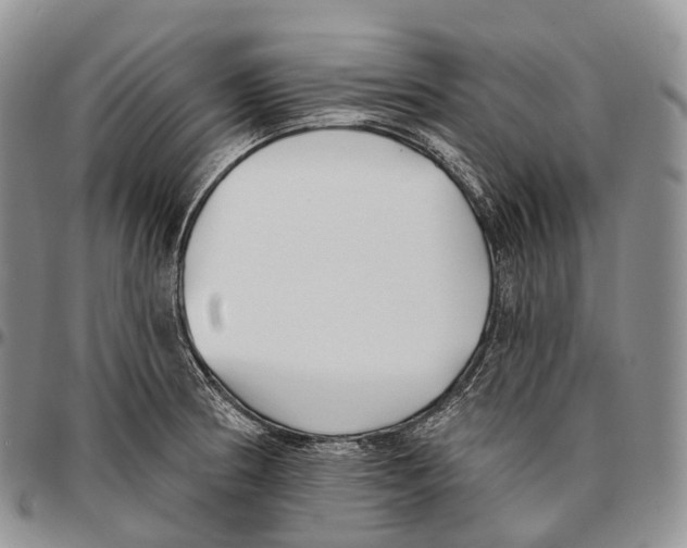 X0000096721186200803041355