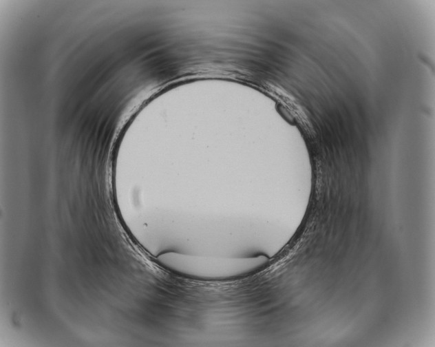 X0000096721188200803041355