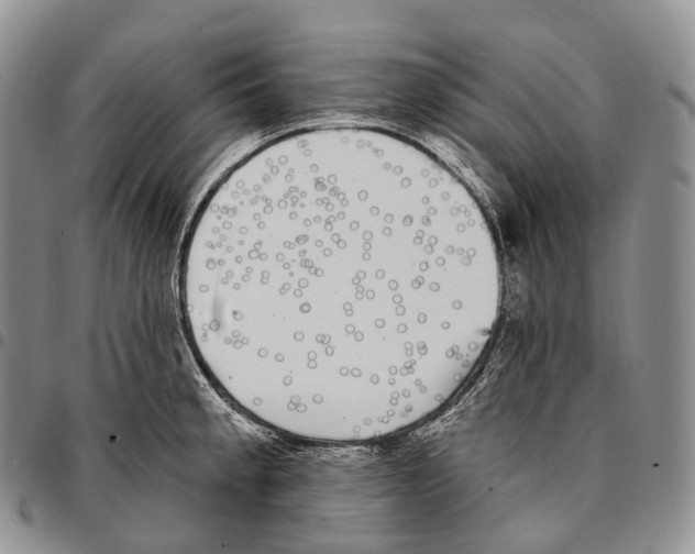 X0000096721189200803041355