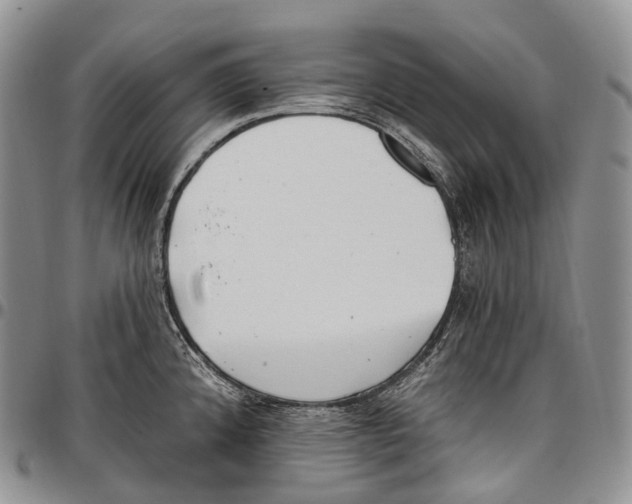 X0000096721192200803041355