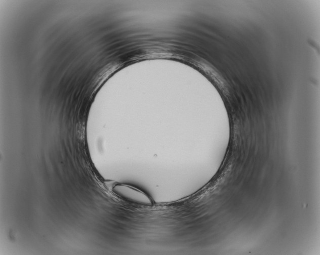 X0000096721193200803041355