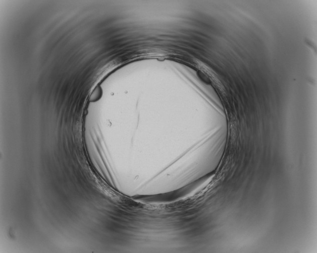 X0000096721194200803041355