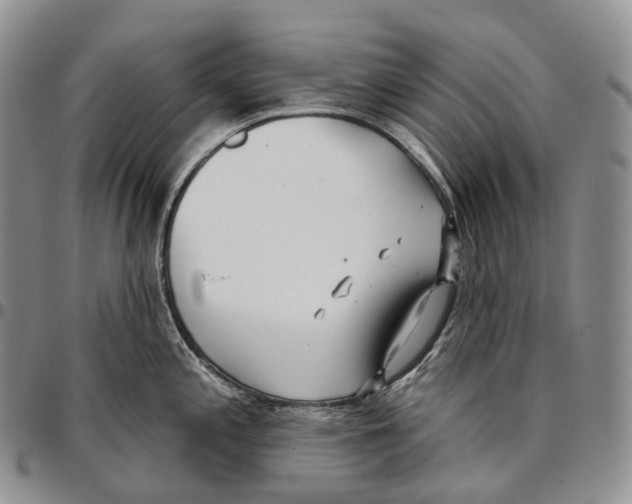 X0000096721197200803041355