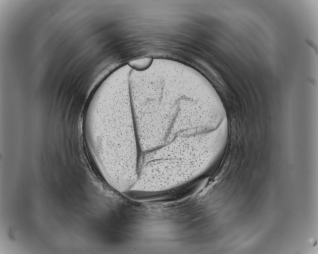 X0000096721198200803041355