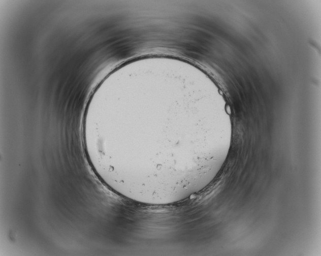 X0000096721199200803041355