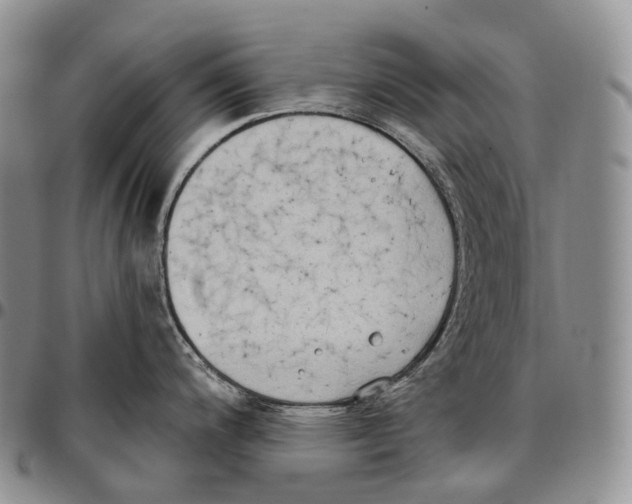 X0000096721200200803041355