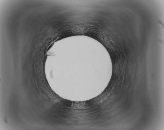 X0000096721201200803041355