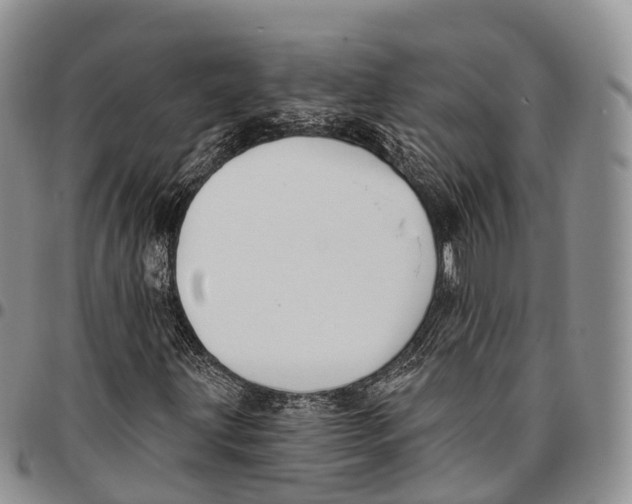 X0000096721203200803041355