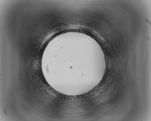 X0000096721208200803041355