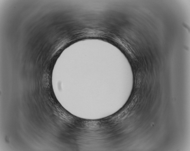 X0000096721211200803041355