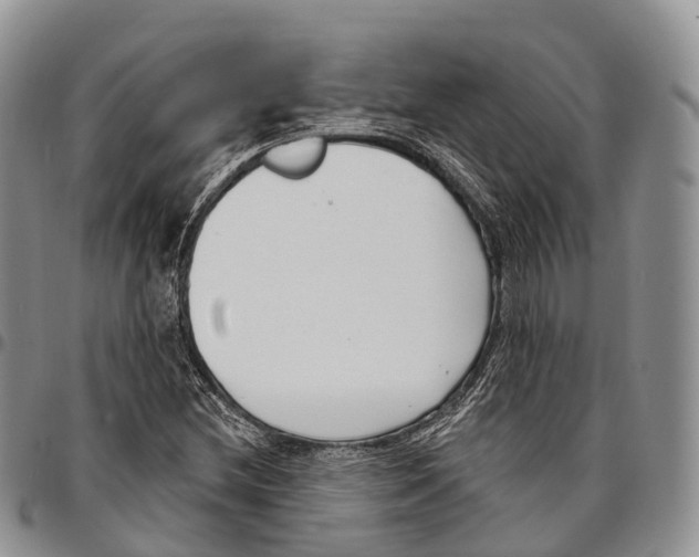 X0000096721212200803041355