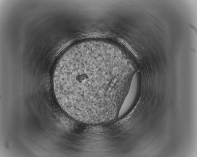 X0000096721213200803041355