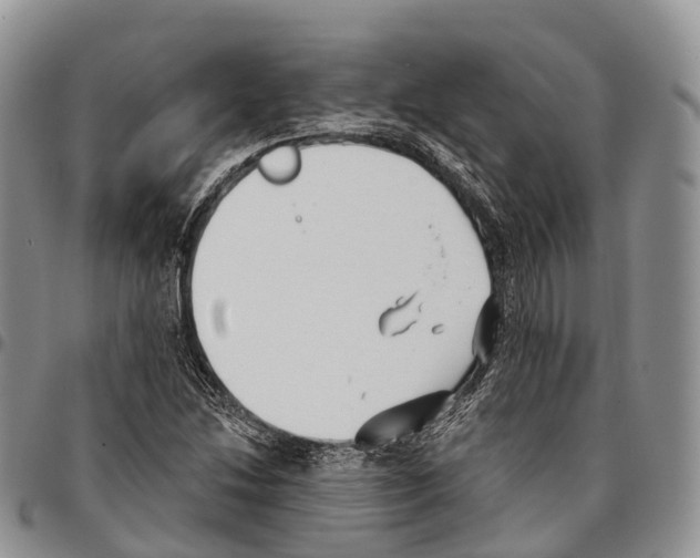 X0000096721214200803041355