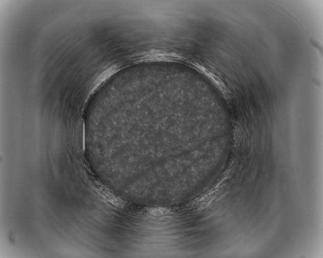 X0000096721219200803041355