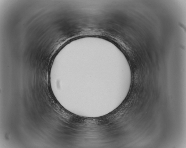 X0000096721220200803041355