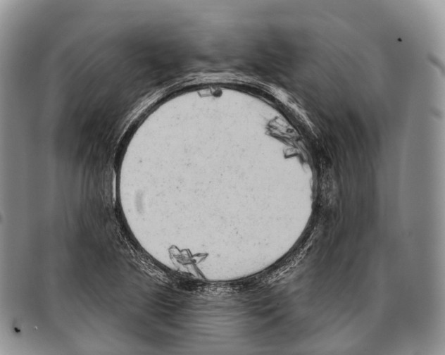 X0000096721221200803041355