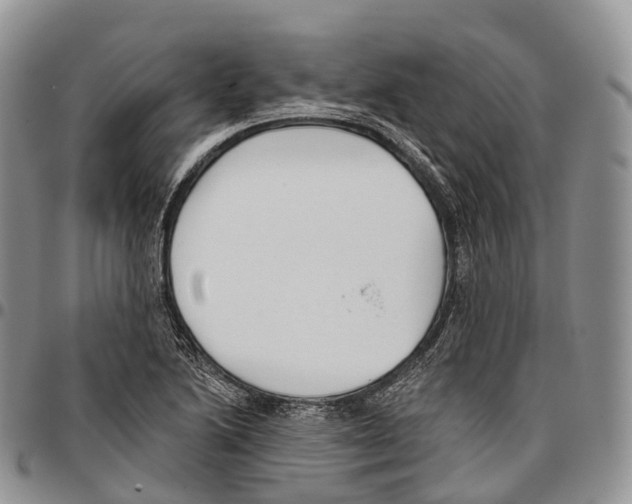 X0000096721222200803041355