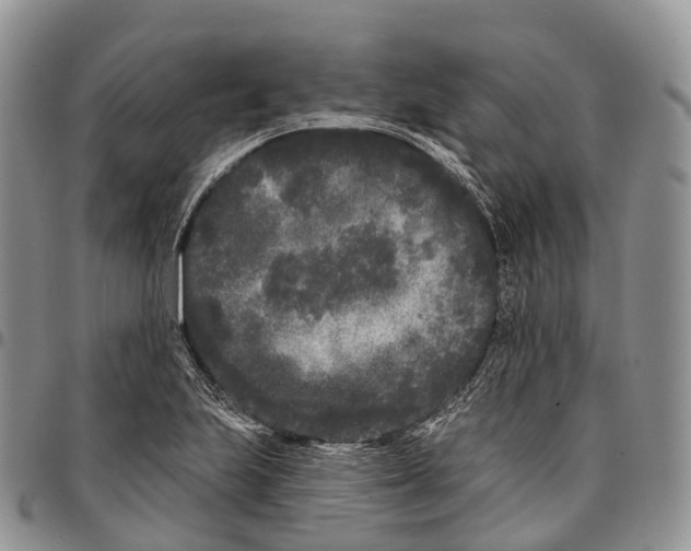 X0000096721223200803041355