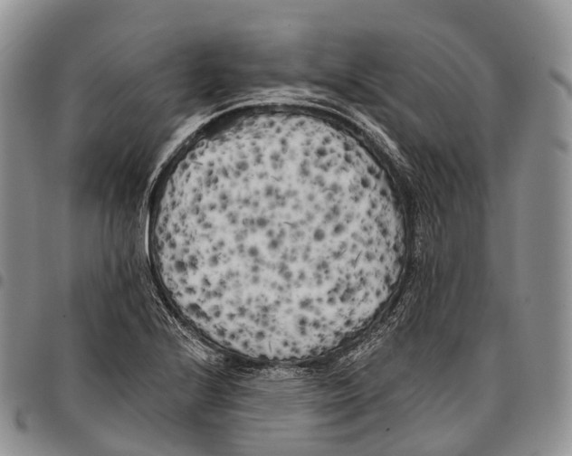 X0000096721224200803041355