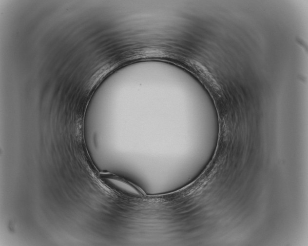 X0000096721225200803041355