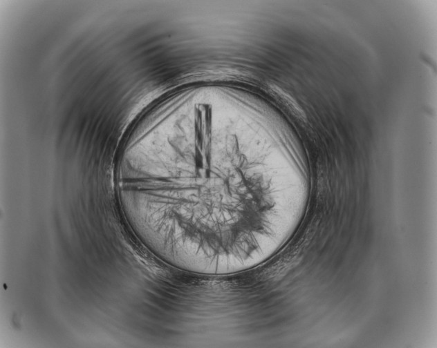 X0000096721226200803041355