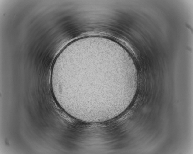 X0000096721228200803041355