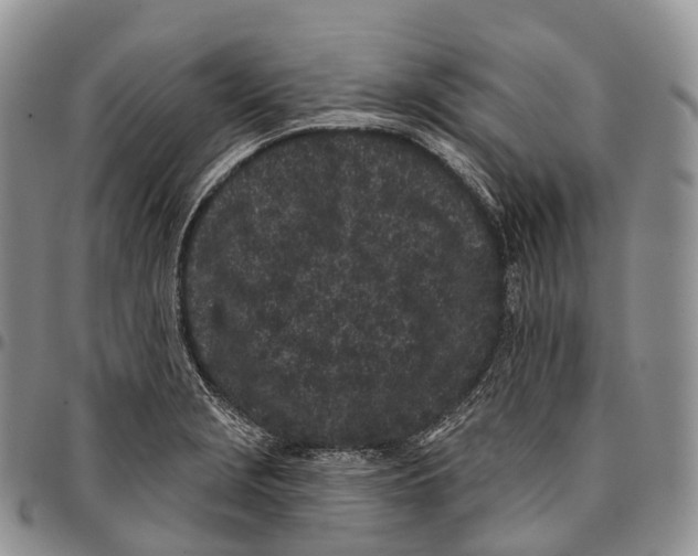 X0000096721229200803041355