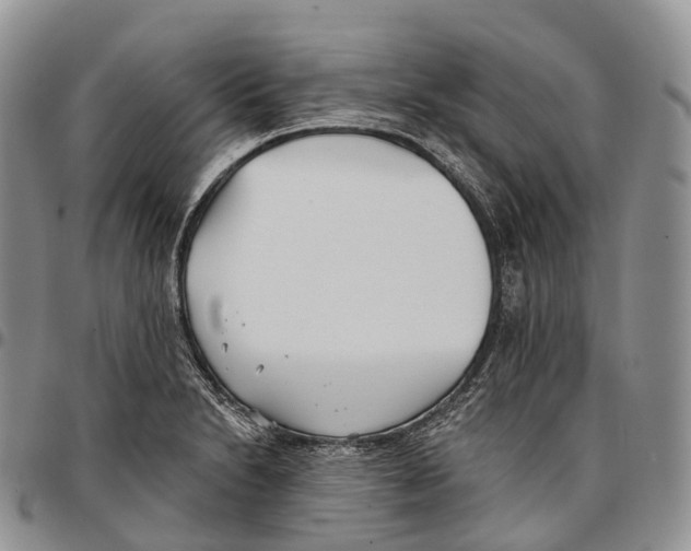 X0000096721230200803041355