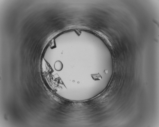 X0000096721231200803041355