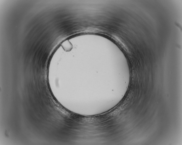 X0000096721232200803041355