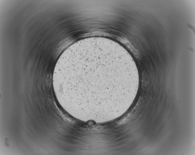 X0000096721233200803041355