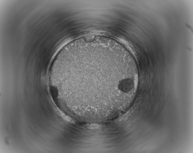 X0000096721235200803041355