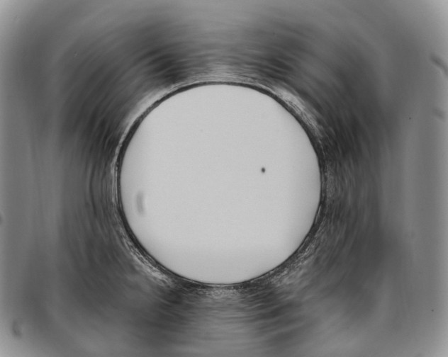 X0000096721238200803041355