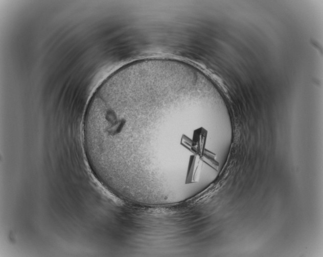 X0000096721239200803041355