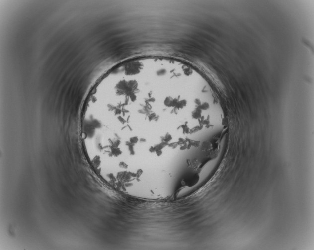 X0000096721240200803041355