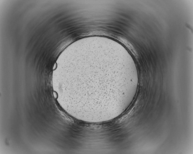 X0000096721241200803041355