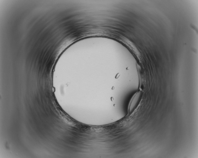 X0000096721242200803041355