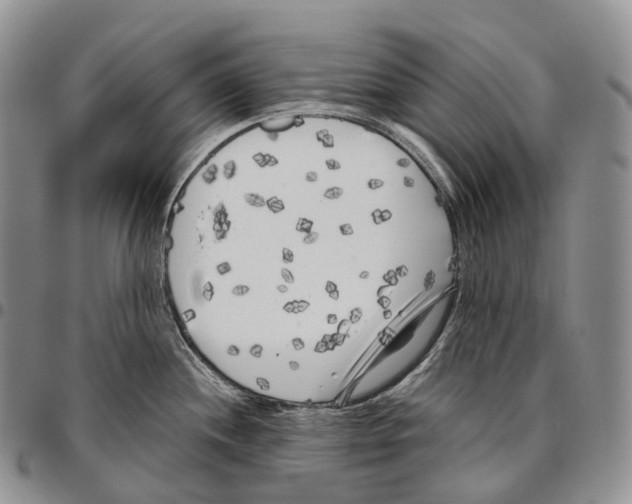 X0000096721244200803041355